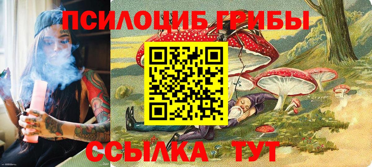 Псилоцибиновые грибы Psilocybe  Псилоцибиновые грибы мицелий  Воркута  Вход с VPN 