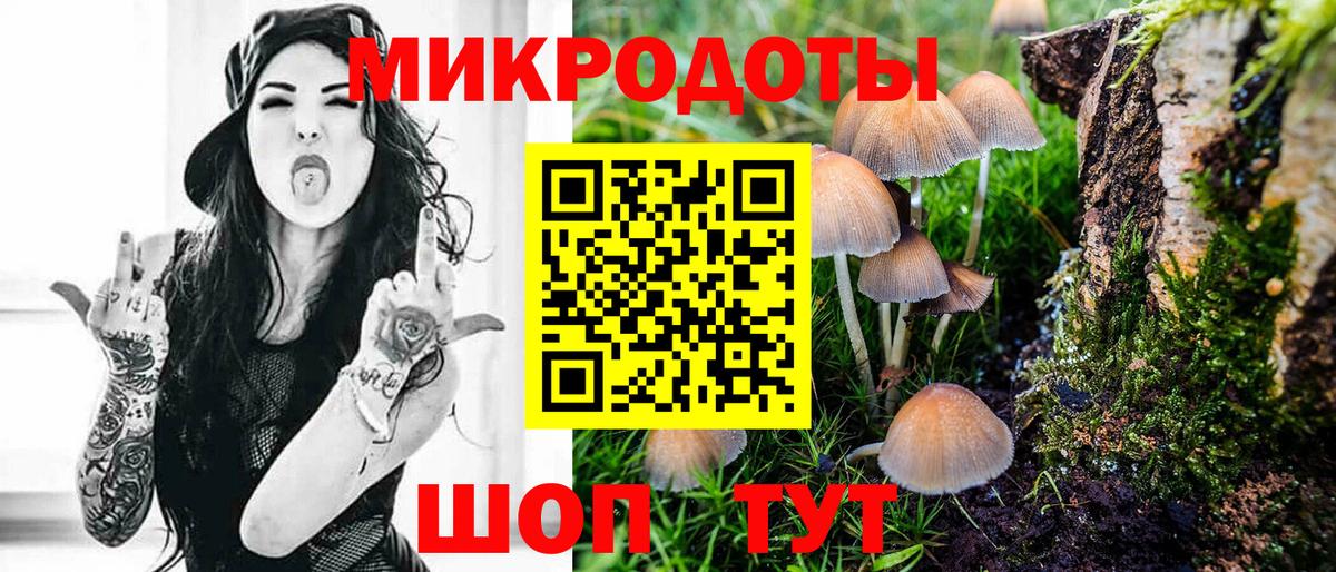 Галлюциногенные грибы Cubensis Воркута